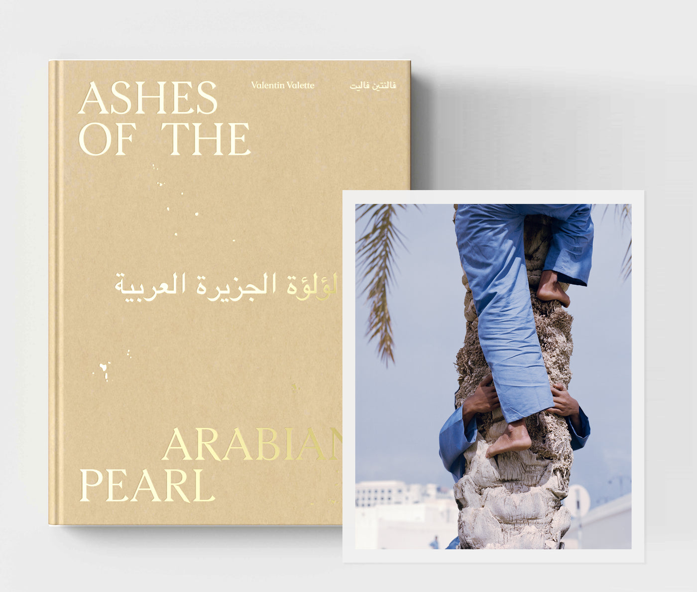 Édition limitée 1 - Ashes of the Arabian's Pearl
